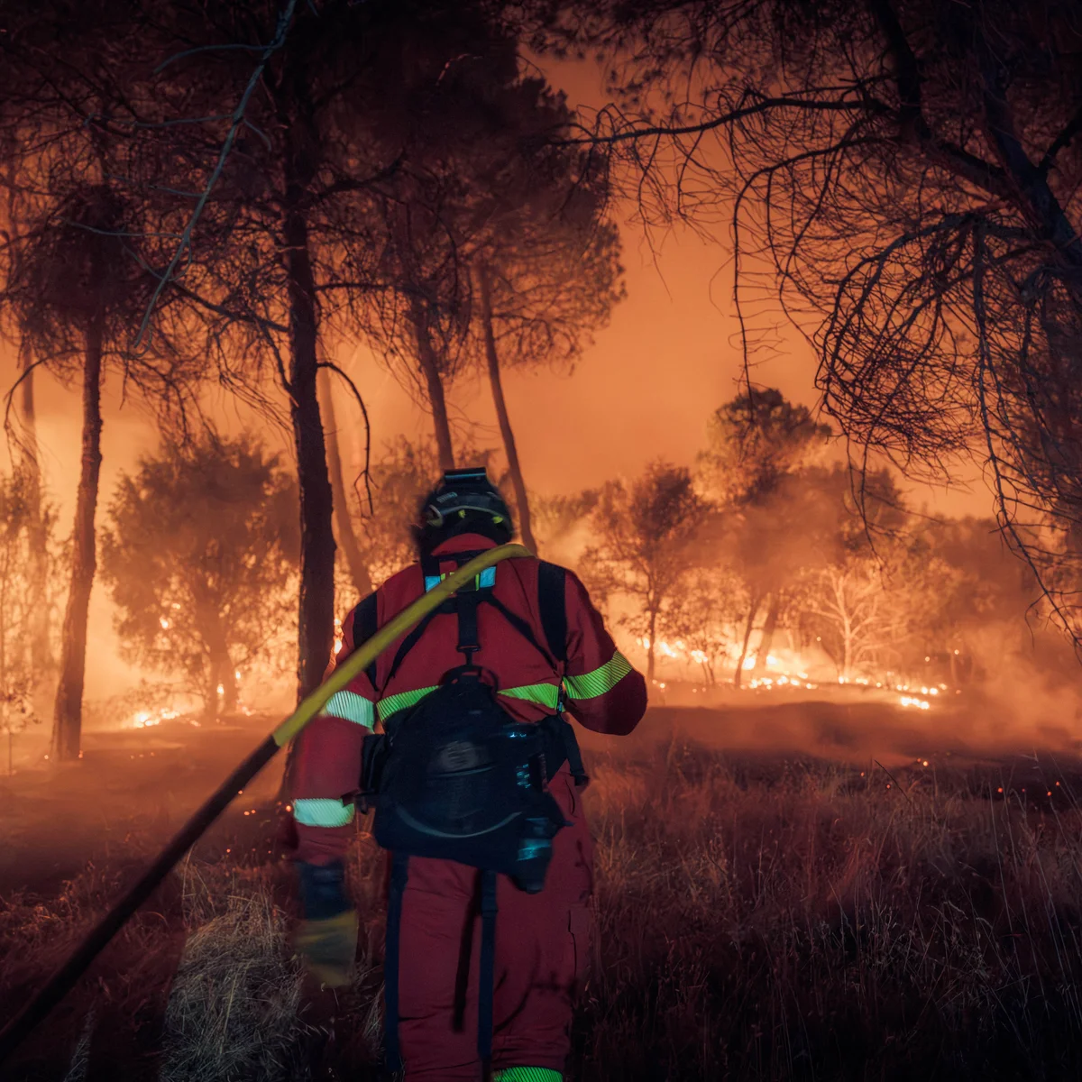 Mediterranean Crisis: Extreme Heat Waves Trigger Massive Wildfires in France and Spain, Forcing 300,000 Evacuations